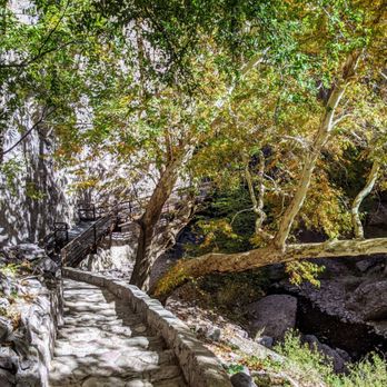 Catwalk Recreation Area - Hiking Near Me - Glenwood, New Mexico