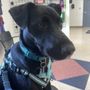 Photo of Margaret B Mitchell Spay Neuter Clinic
