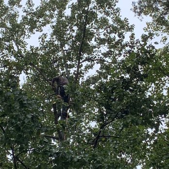 WLR Outdoor Services - Tree Services Near Me WLR Outdoor Services - Tree Services Near Me