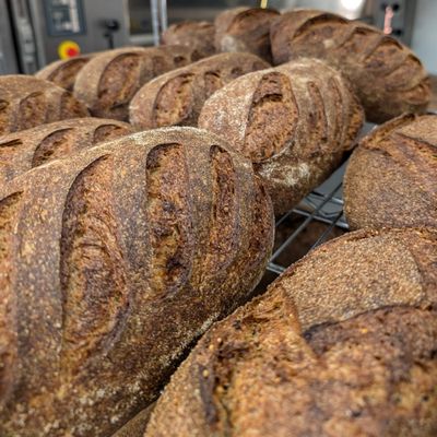 Laune Bread by null