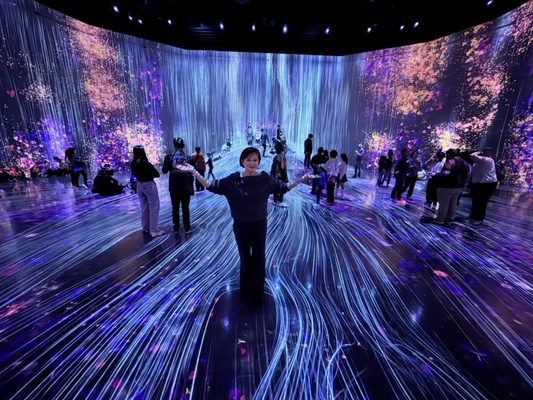 teamLab Borderless: MORI Building DIGITAL ART MUSEUM by null