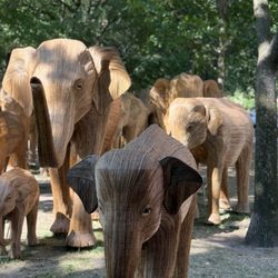 The Great Elephant Migration AUGUST 8 - SEPTEMBER 13, 2026 BETWEEN FAIRFIELD & DARTMOUTH