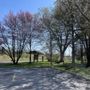 Churchill Park