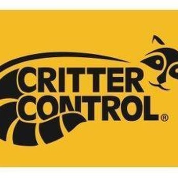 Critter Control - Critter Control of the Triangle - Pest Control Near Me Critter Control - Critter Control of the Triangle - Pest Control Near Me