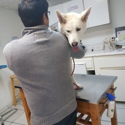 La Vet24hrs