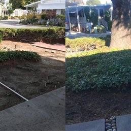 Before and after
