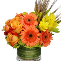 Knees Florist & Emporium - Contemporary Excellence