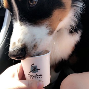 Caribou Coffee - Coffee & Tea Near Me - Liberty, Missouri