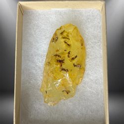 Major Minerals