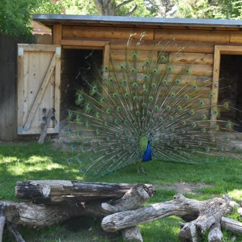 Pueblo Zoo - Zoos Near Me - Pueblo, Colorado