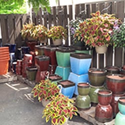 Down 2 Earth Garden Centre - Pots and Vases