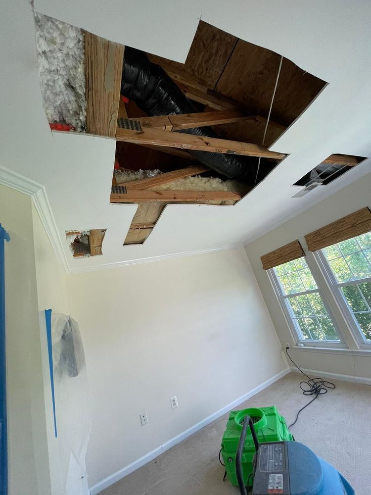 FDP Mold Remediation of Ellicott City - mold inspector in Ellicott City, MD