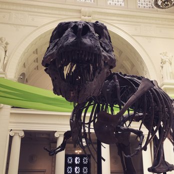 Field Museum - Little arms make for big hearts. - Museums Near Me - Chicago, Illinois Field Museum - Little arms make for big hearts. - Museums Near Me - Chicago, Illinois