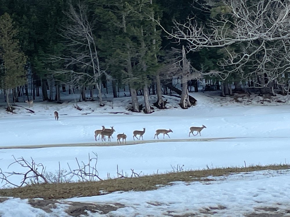 THE COFFEE MILL Updated June 2024 59 Photos & 26 Reviews 1187