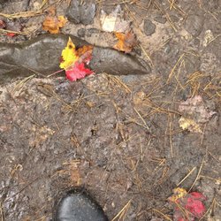 Canyon Falls - Fall is fickle