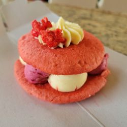 Lézard - Macaron Cake