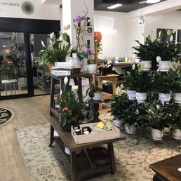 Super cute interior with lots of buy now options.