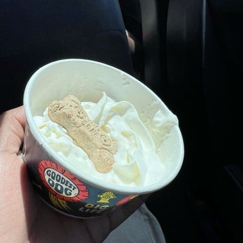 Dutch Bros Coffee - curtis pup cup - Coffee & Tea Near Me - Newport, Oregon