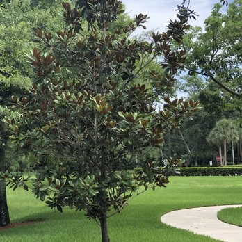 Veterans Park - Parks Near Me - Coconut Creek, Florida Veterans Park - Parks Near Me - Coconut Creek, Florida