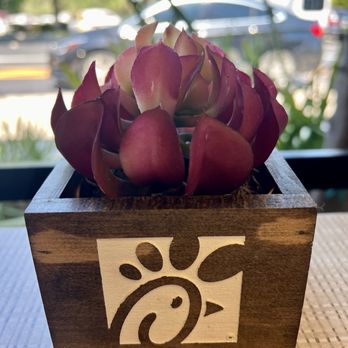 Chick-fil-A - Fast Food Near Me - Brandon, Florida