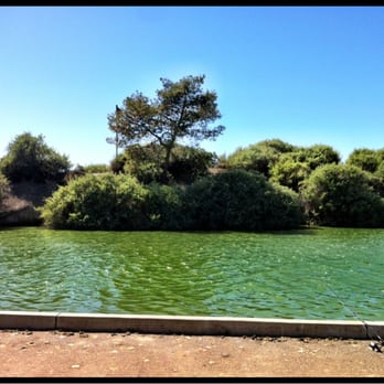 Lake Cunningham Park - Water ain't the cleanest! - Parks Near Me - San Jose, California Lake Cunningham Park - Water ain't the cleanest! - Parks Near Me - San Jose, California