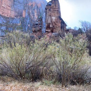 Zion Guru - Bike Rentals Near Me - Springdale, Utah Zion Guru - Bike Rentals Near Me - Springdale, Utah