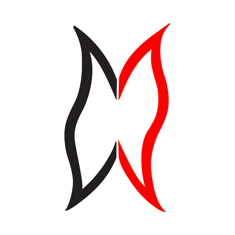 Modzori Logo