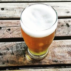 Bangalore - Warstainer tirada.... Si te gusta bien...