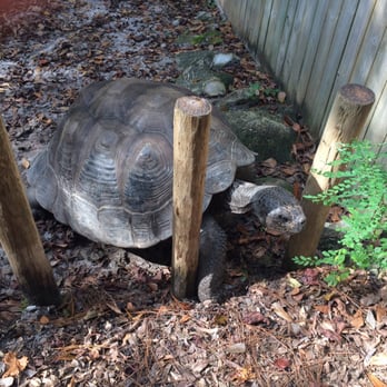 Santa Fe College Teaching Zoo - Zoos Near Me - Gainesville, Florida