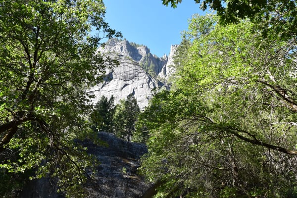 Yosemite Conservation Heritage Center by null