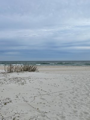Saint George Island State Campground by null