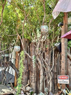 Three Monkeys Cafe by null