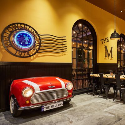 Mellow Mushroom Williamsburg by null