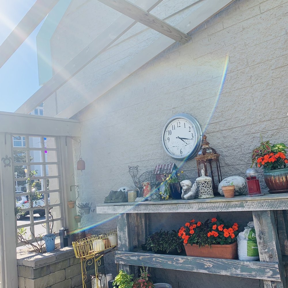 The Green Cat Juice Bar & Market - outside area - Juice Bars & Smoothies Near Me - Virginia Beach, Virginia