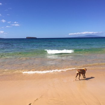 Little Beach, Maui - So much pretty! - Beaches Near Me Little Beach, Maui - So much pretty! - Beaches Near Me