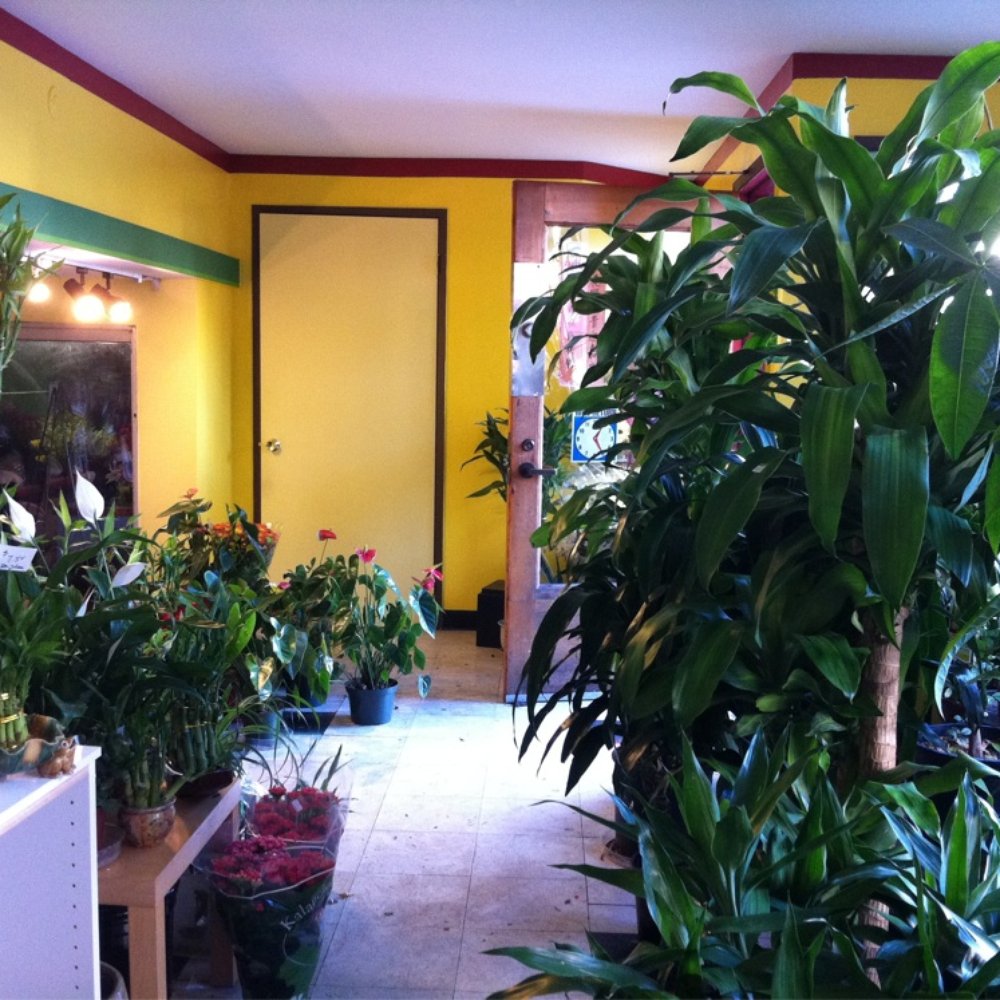 Colors Abloom - interior - Florists Near Me - Seattle, Washington Colors Abloom - interior - Florists Near Me - Seattle, Washington
