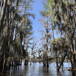 Big Cypress Tours