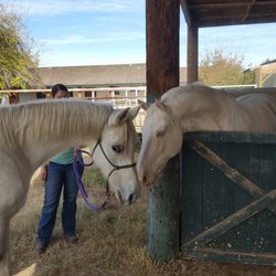 Healing Hearts Animal Rescue & Refuge - Headed to his new home!