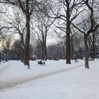 Square Saint-Louis - Parks Near Me - Montreal, Quebec Square Saint-Louis - Parks Near Me - Montreal, Quebec