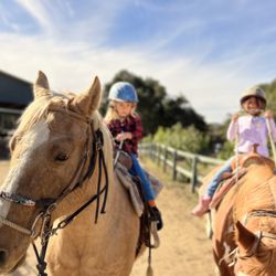Rancho Palomino - Santa Barbara