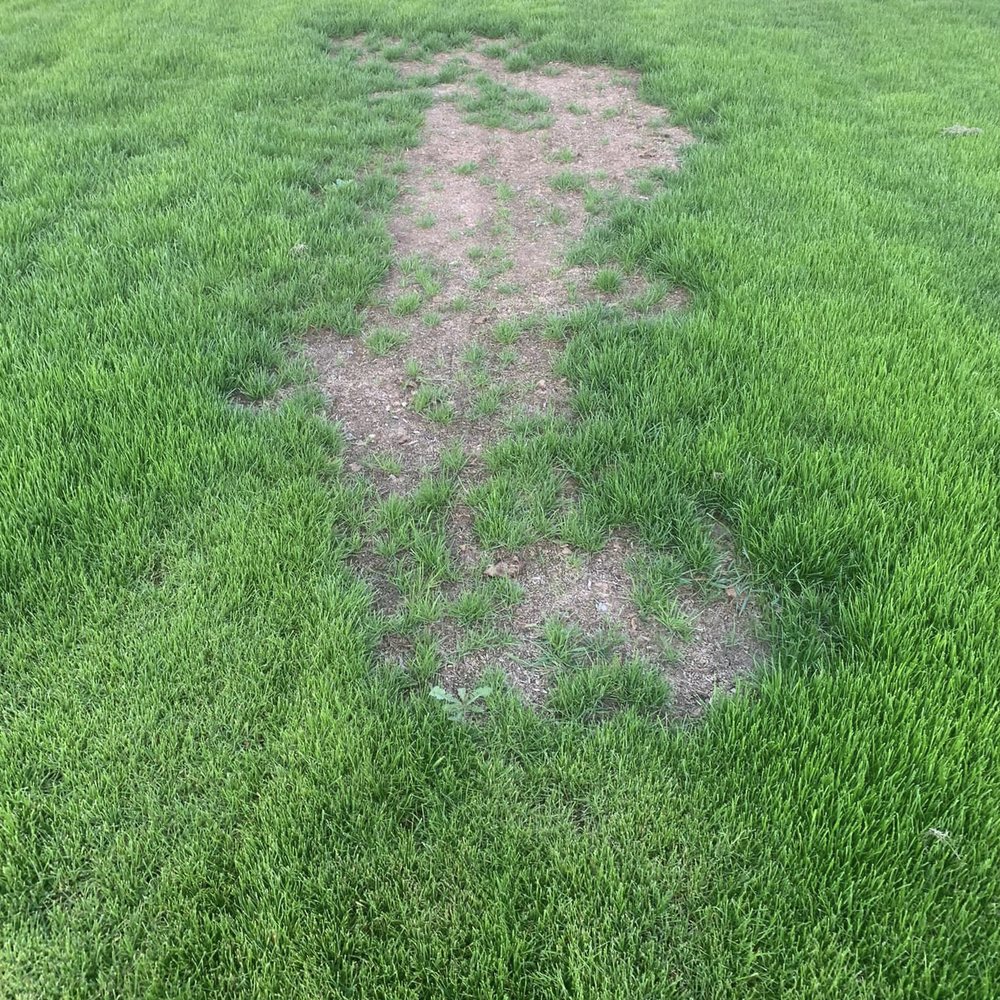 Grassmaster - a patch of dirt in the middle of a grassy field - Landscaping Near Me
