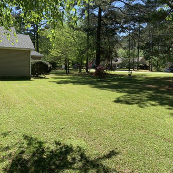 Stellar Yard Life - Lawn Services Near Me Stellar Yard Life - Lawn Services Near Me