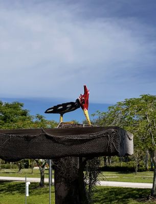 Port St. Lucie Botanical Gardens by null