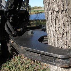 Nothing But Chips - Tree Stump Removal