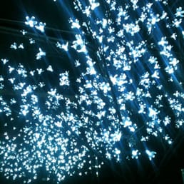 Beautiful lights on the tree by the DJ booth at FACTOR IX inside Midtown Barfly Beautiful lights on the tree by the DJ booth at FACTOR IX inside Midtown Barfly