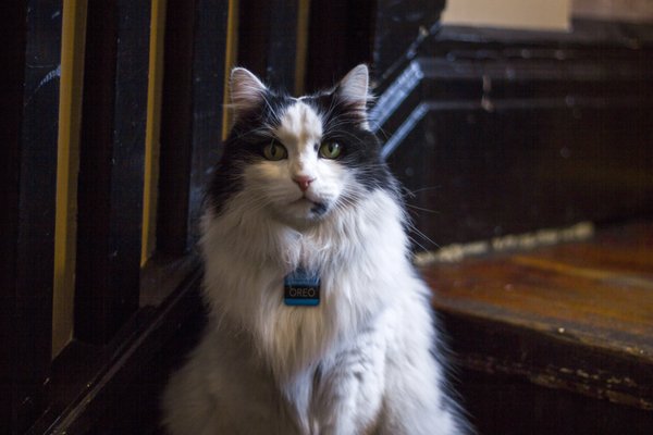 The Cambie Hostel - Gastown by null