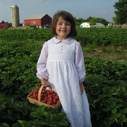 Ridgeview Farm - Fresh Picked Strawberries in June!