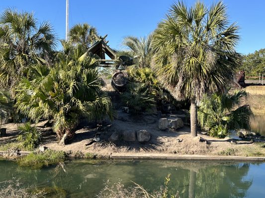 Alabama Gulf Coast Zoo by null