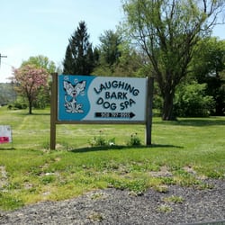 Laughing Bark Dog Spa