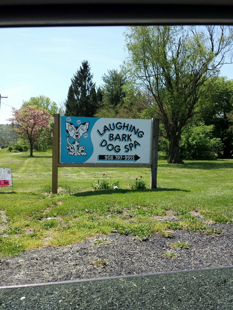 LAUGHING BARK DOG SPA Updated October 2024 478 Rt 31, Hampton, New